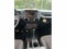 2018 Jeep Wrangler Sport S