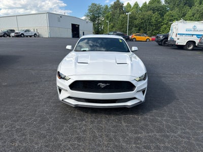 2019 Ford Mustang EcoBoost