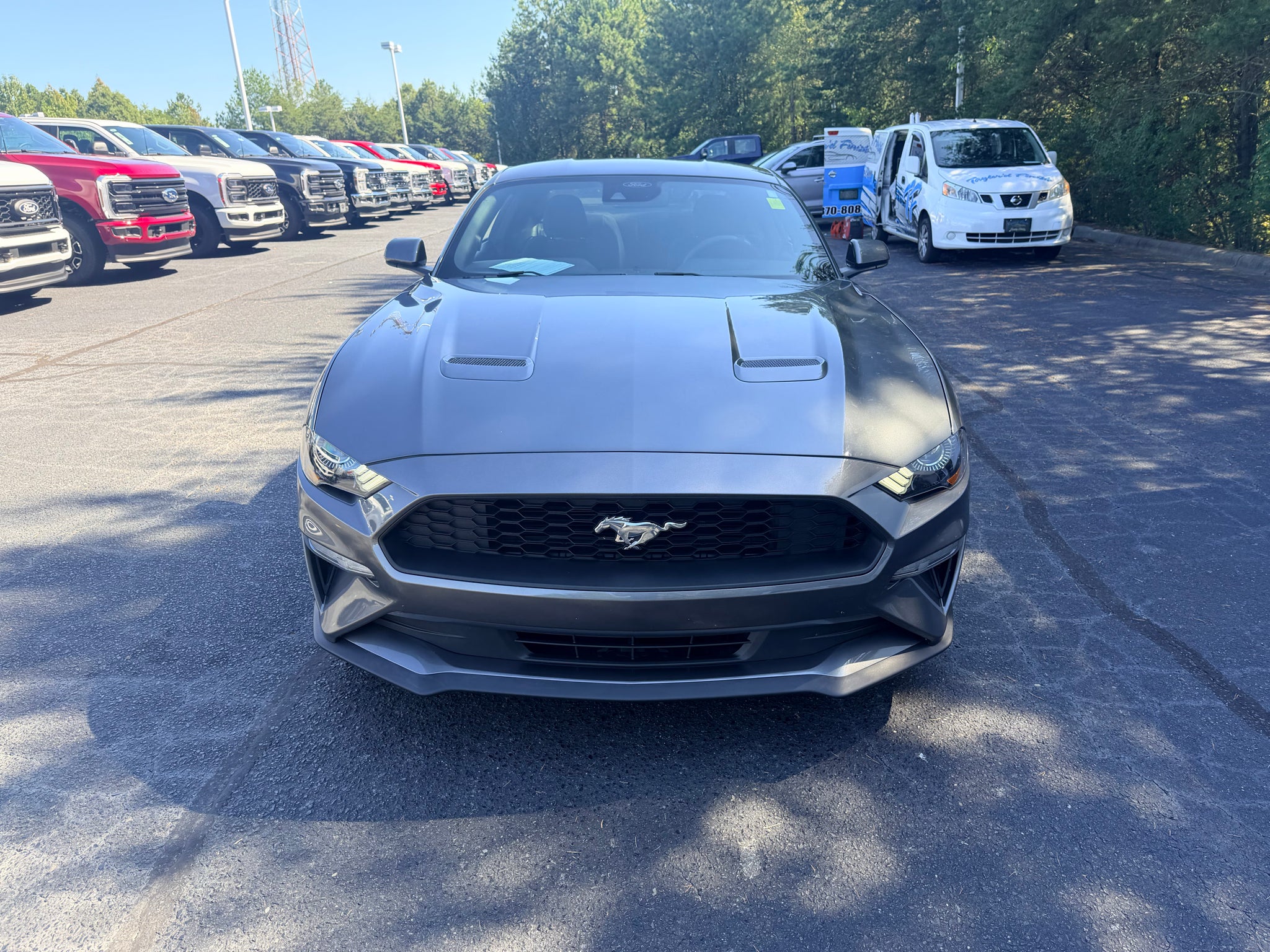 2022 Ford Mustang EcoBoost