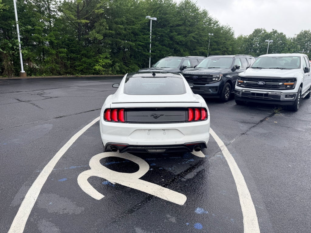 2022 Ford Mustang EcoBoost