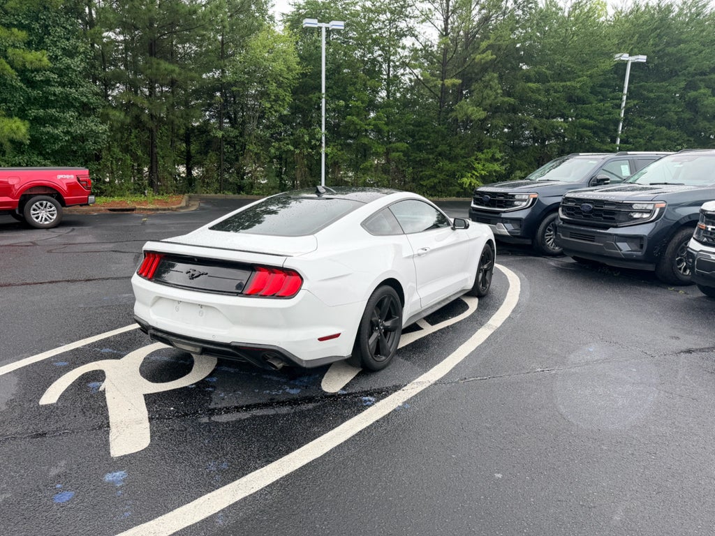 2022 Ford Mustang EcoBoost