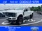 2024 Ford F-250 Black Widow