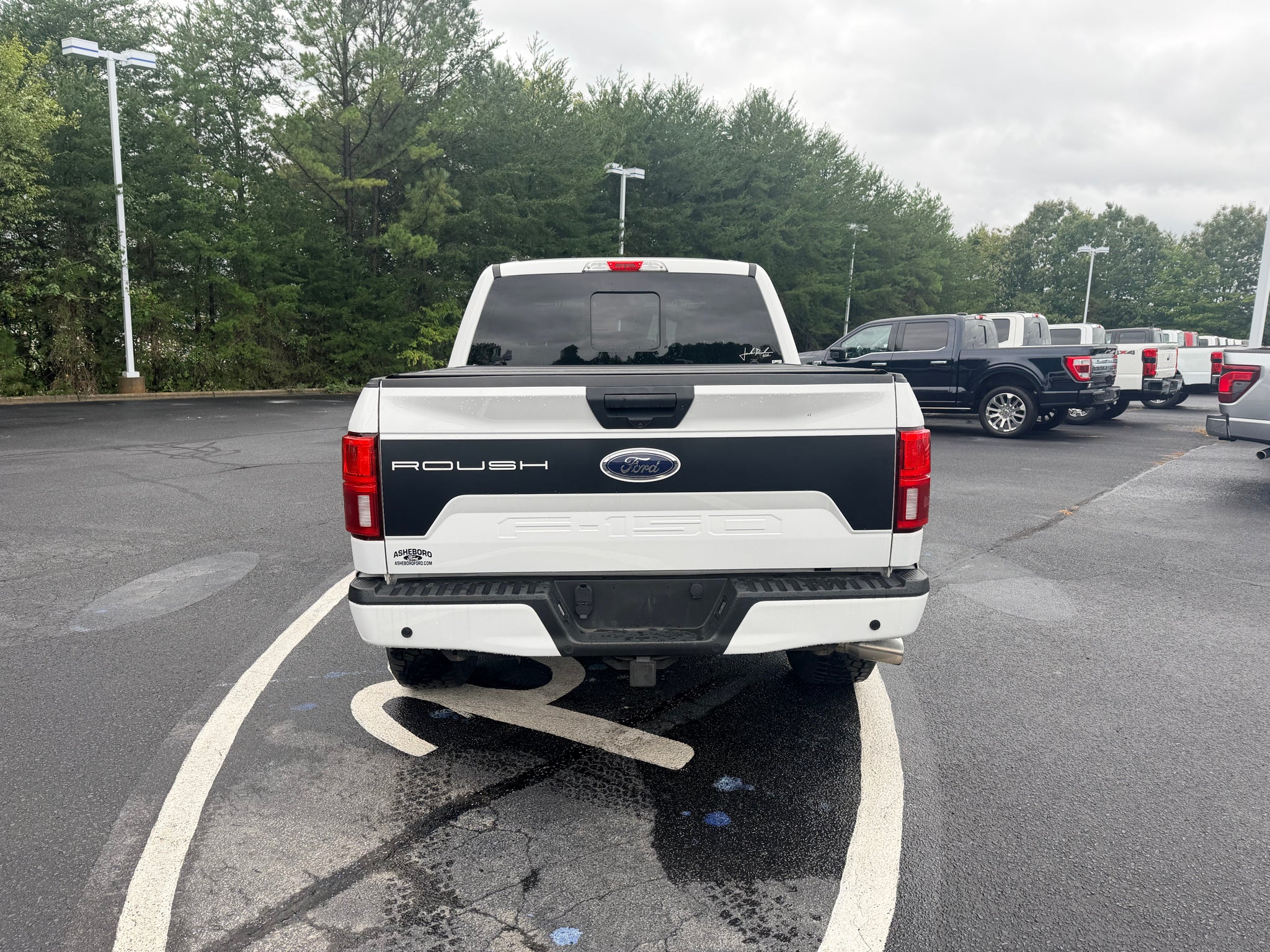 2020 Ford F-150 ROUCH