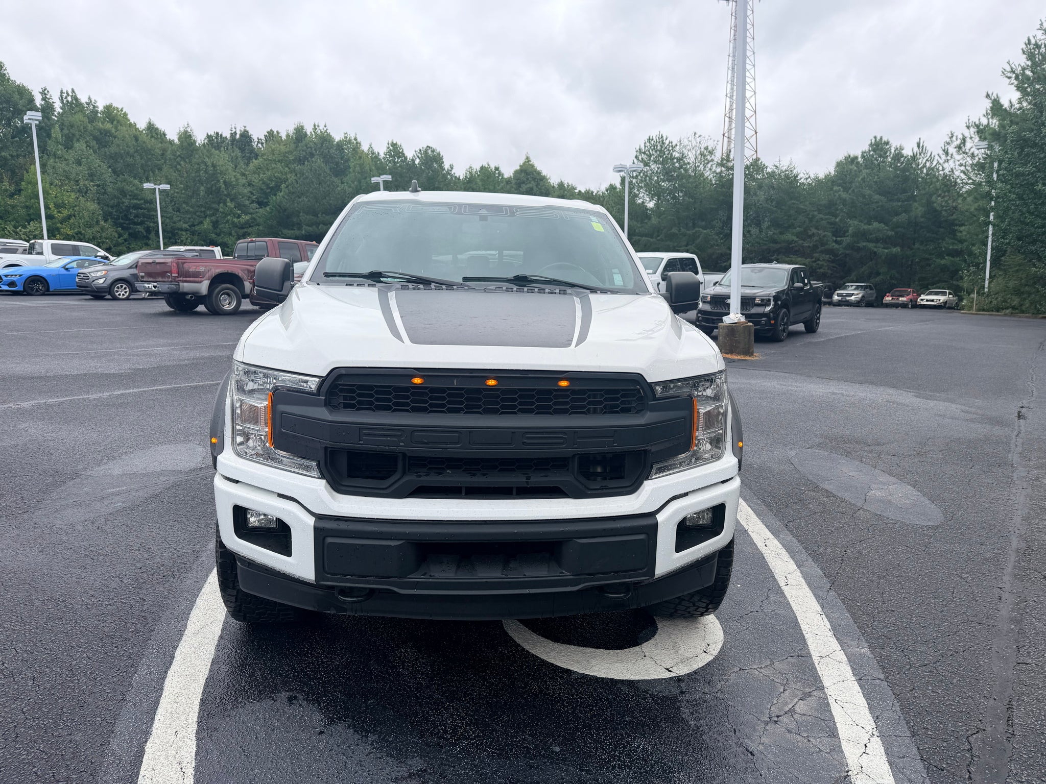 2020 Ford F-150 ROUCH