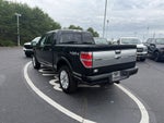 2014 Ford F-150 Platinum